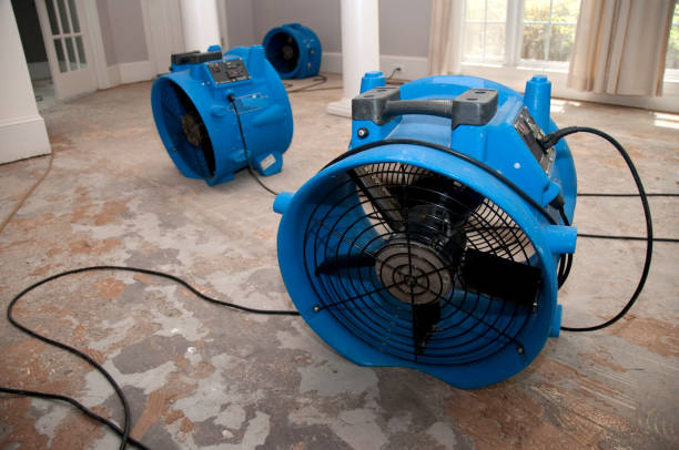 Best Basement water damage restoration  in Converse, IN