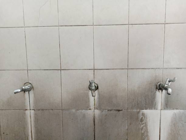Best Residential water damage restoration  in Converse, IN