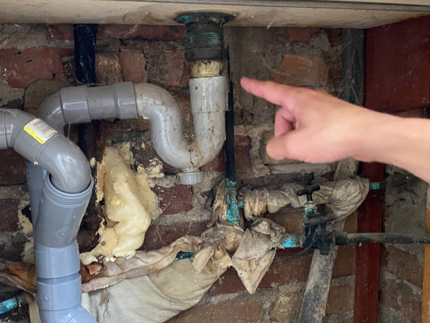 Best Water damage restoration cost  in Converse, IN