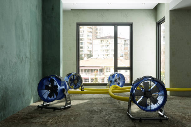 Best 24/7 water damage repair  in Converse, IN